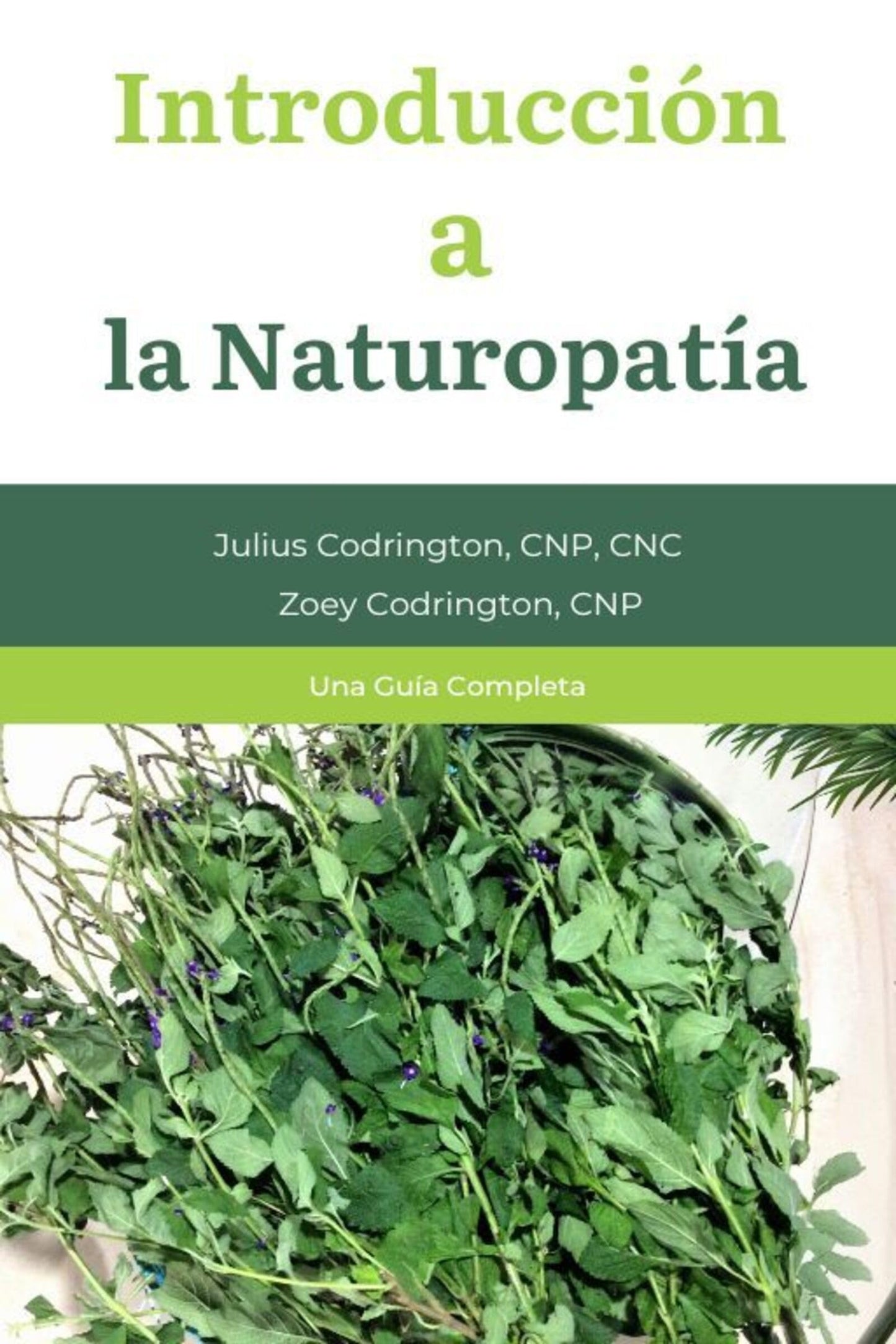 Introducción a la Naturopatía (Spanish Edition)